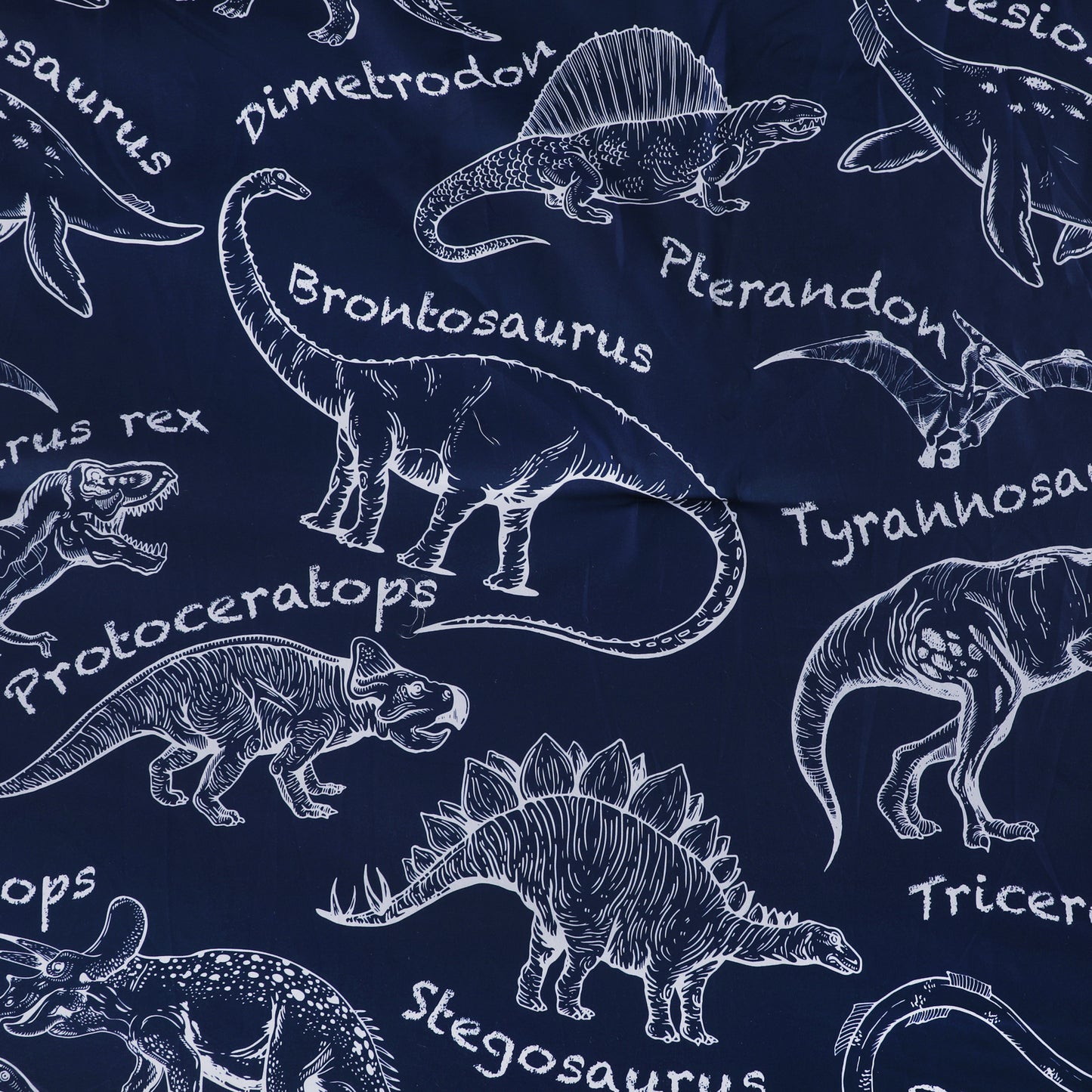 Wholesale Dinosaur Print Cartoon Comforter Sets